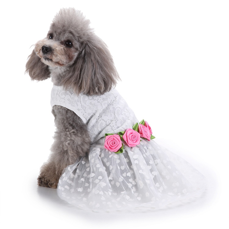 Pet Formal Dress  Dog Wedding Dress Lace Tulle Gown with Rose Accents